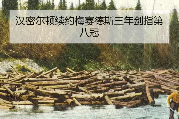 han-mi-er-dun-xu-yue-mei-sai-de-si-san-nian-jian-zhi-di-ba-guan-3-385.jpg