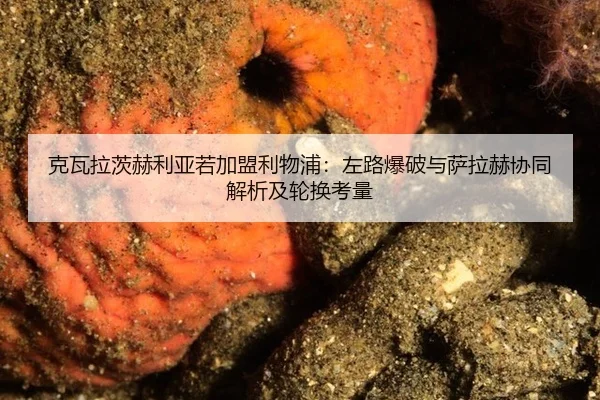 ke-wa-la-ci-he-li-ya-ruo-jia-meng-li-wu-pu-zuo-lu-bao-po-yu-sa-la-he-xie-tong-jie-xi-ji-lun-huan-kao-liang-2-948.jpg