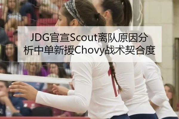 JDG官宣Scout离队原因分析中单新援Chovy战术契合度